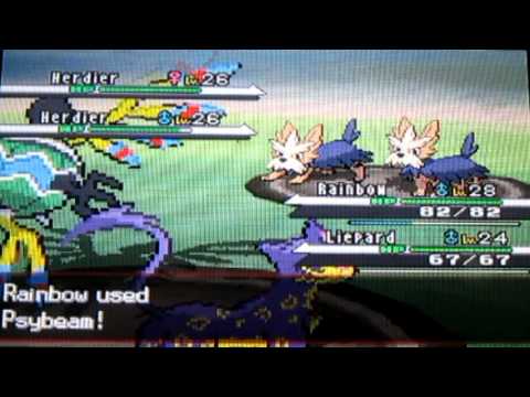 Pokemon Black 27  Cheren and Alder on Route 5