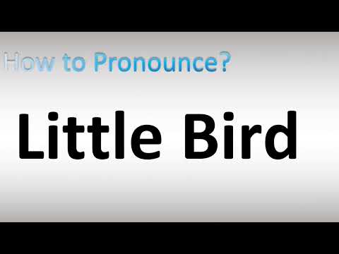 How to Pronounce Little Bird