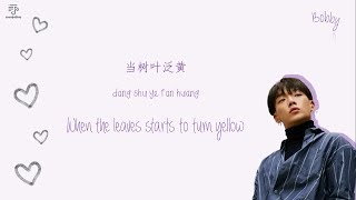 Download lagu IKON 아이콘 - Love Scenario (Chinese ver.) Color-Coded-Lyrics Chi l Pin l Eng 歌词 by xoxobuttons mp3