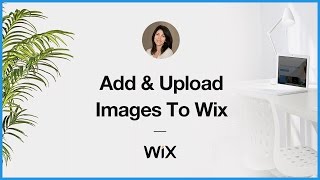How to Add and Upload Images to Wix