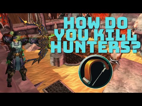 How to Kill Hunters in TBC Arena PvP