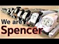 Thomas Friends My Spencer Toy Collection