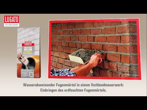 Die Behandlung des Nagelzwanges vom Laser kaliningrad Gribok auf dem Kopf, wie von den Volksmitteln zu behandeln