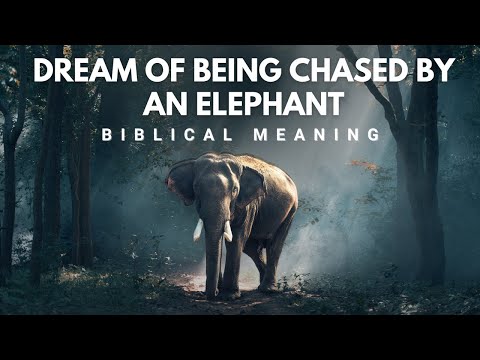 Dream of Being Chased By An Elephant: Biblical Meaning