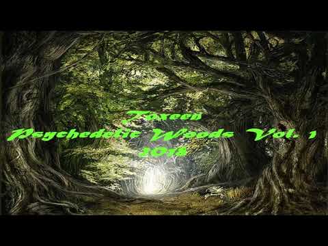TOXEEN - Dj Set ''Psychedelic Woods Vol. 1'' Oct 2018 [Psychedelic Trance]
