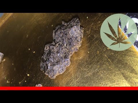 Grapefruit Haze - All About This Strain