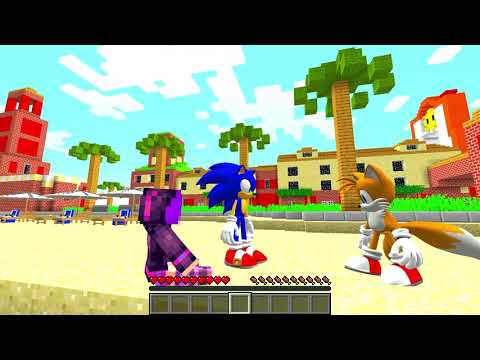 INCINTA Di SONIC Su Minecraft!