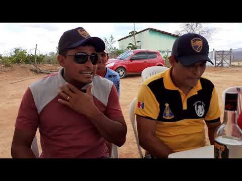 Versos de Alon Zoa e Ari Zoa