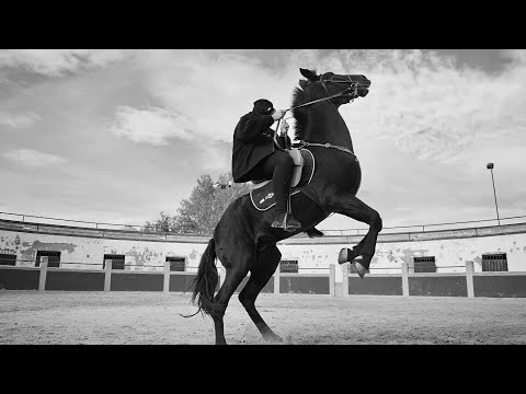 Astrazed - Abimé (prod. Xema Fuentes)