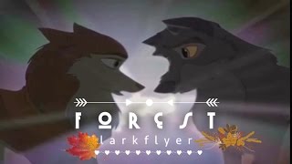 Forest | Balto | MEP for Satisfaction Simba