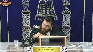 ההבדל בין כוונת שם הוי"ה ובין כוונת שם אדנו"ת ¤ הרב משה שרם ¤ כ"ו תמוז תשפ"ה (22.7.2025) (מוסדות תורת דוד) - התמונה מוצגת ישירות מתוך אתר האינטרנט יוטיוב. זכויות היוצרים בתמונה שייכות ליוצרה. קישור קרדיט למקור התוכן נמצא בתוך דף הסרטון ההבדל בין כוונת שם הוי"ה ובין כוונת שם אדנו"ת ¤ הרב משה שרם ¤ כ"ו תמוז תשפ"ה (22.7.2025) (מוסדות תורת דוד) - התמונה מוצגת ישירות מתוך אתר האינטרנט יוטיוב. זכויות היוצרים בתמונה שייכות ליוצרה. קישור קרדיט למקור התוכן נמצא בתוך דף הסרטון