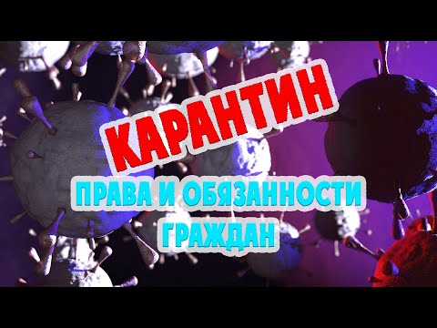 #033 Карантин. Права и обязанности граждан / Важные Вещи / Право