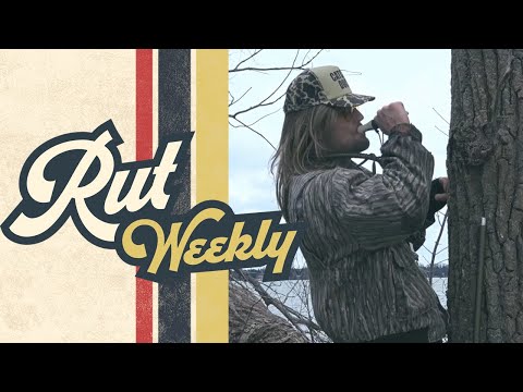 Rut Daniels | Frozen Loin