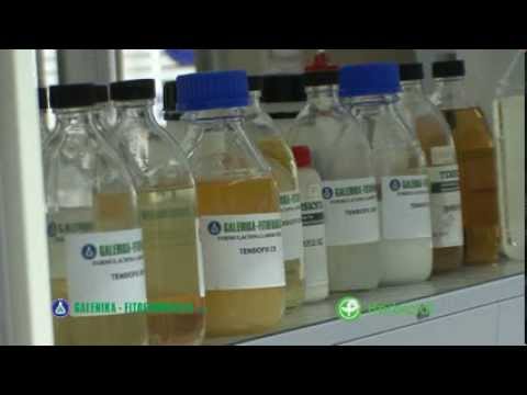 Galenika FitoFarmacija