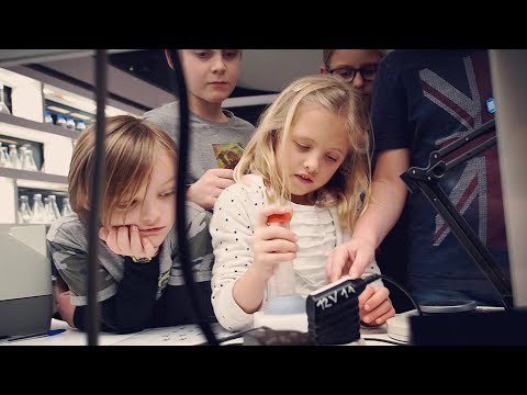 New Views of Humankind / Main Gallery - Guided Tour for Kids