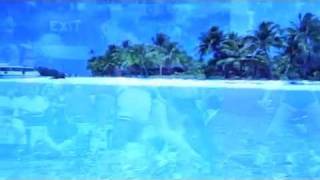 Cadillac - Endless Summer