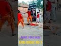 Faruwahi Dance New Bhojpuri Song Malai Music New Bhojpuri Song