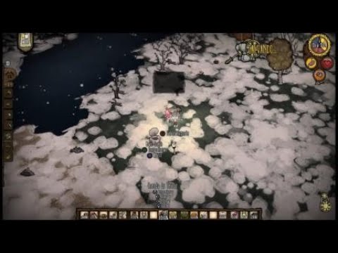 Wickerbottom vs Bee Queen 2.0 - Don't Starve Together