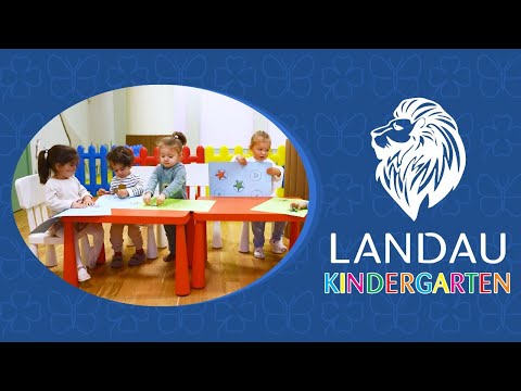 Introduction to LANDAU Kindergarten