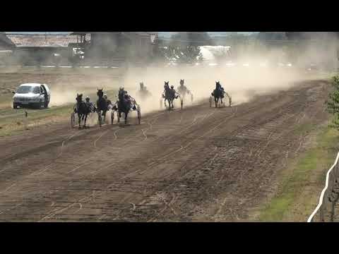 Trka "Sveti Nikola" 13.09.2020 Adria - Milan Tasić