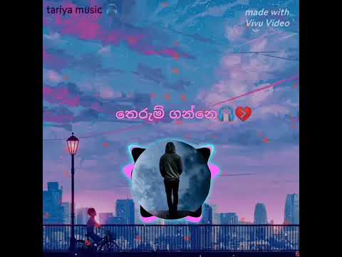 තෙරුම් ගන්නෙ🎧💔ishan priyasanka.song🎧tariya music 🎧song.#music #viralvideo #tariyamusic