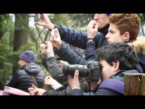 9 VOLTE CAMPIONI ITALIANI RALLY