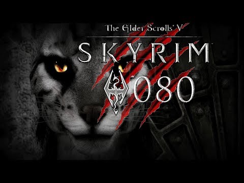 TES V: Skyrim #080 - Von Idioten umgeben - [Let's Play] [Xbox 360] [Deutsch] [HD]