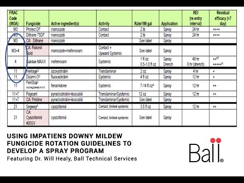 Using Impatiens Downy Mildew Fungicide Rotation Guidelines to Develop a Spray Program thumbnail