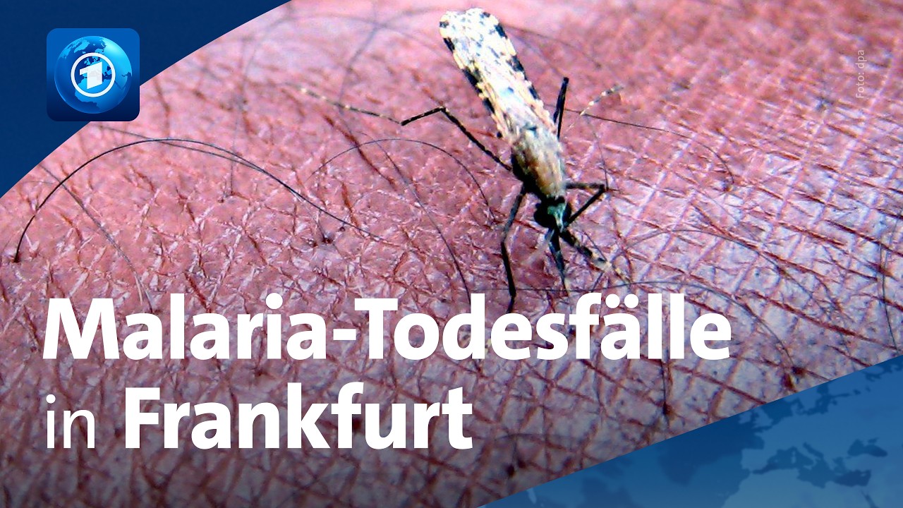 Frankfurt: Weiterer Mensch an Malaria gestorben