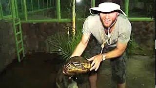 Fish and Reptile Exhibit- Gamboa, Panama, Davidsbeenhere.com