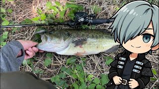 ファイトシーン🔥タイムスタンプ有り【バス釣り】    Bass Fishing Japan River