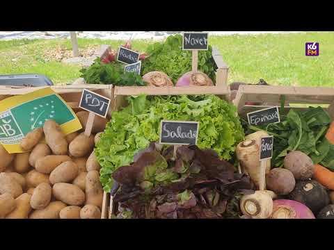 En vidéo : découvrez la légumerie de Dijon Métropole