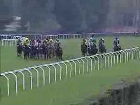 Premio Fiume 2013 (HANDICAP PRINCIPALE)