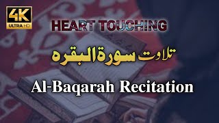 02 Surah Al Baqarah full Recitation  Qaria Asma Hu