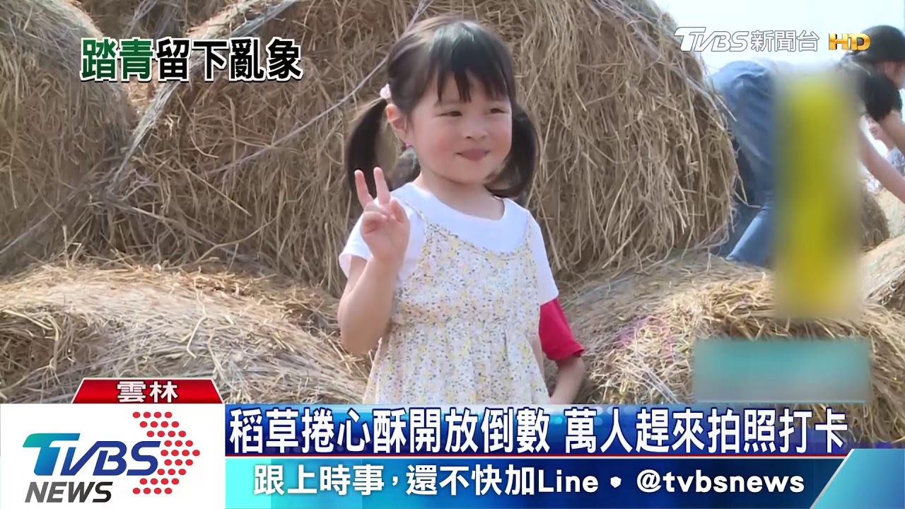 稻草捲心酥開放倒數　萬人趕來拍照打卡