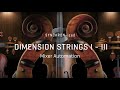 Video 2: SYNCHRON-ized Dimension Strings Tutorial
