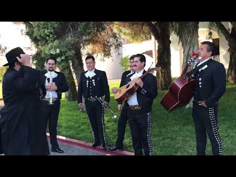 Happy Purim😃😃😃7 Noachide Laws and Ponga Tefilin Song