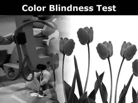 Color Blind Test RGB+CM Pattern for Achromatopsia Video
