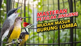 Download lagu MASTERAN PETULAK JINGJING PIJANTUNG PISANG PELATUK BAWANG BURUNG LOMBA MUDAH MASUK mp3 Download lagu MASTERAN PETULAK JINGJING PIJANTUNG PISANG PELATUK BAWANG BURUNG LOMBA MUDAH MASUK mp3