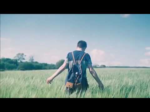Palavras video