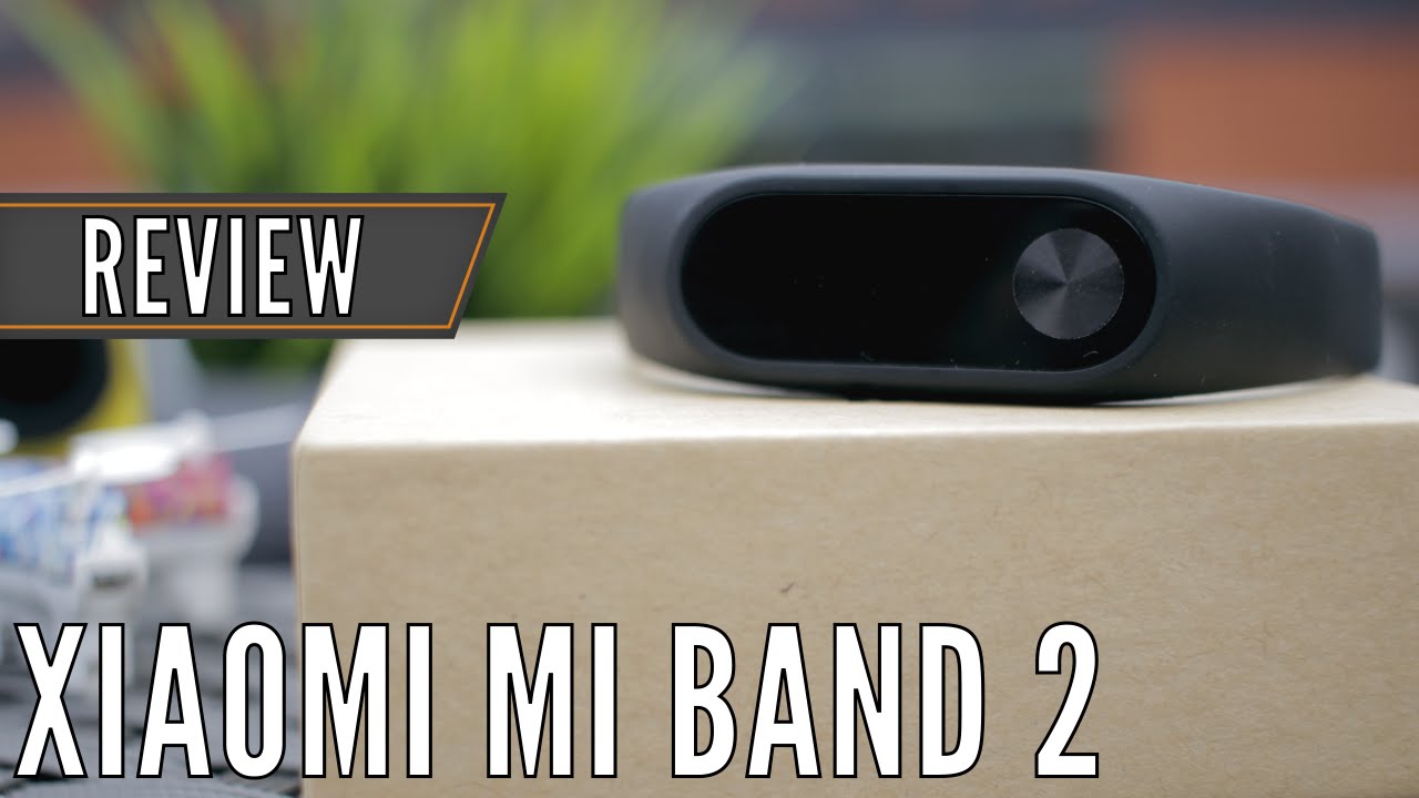 Youtube Video Preview