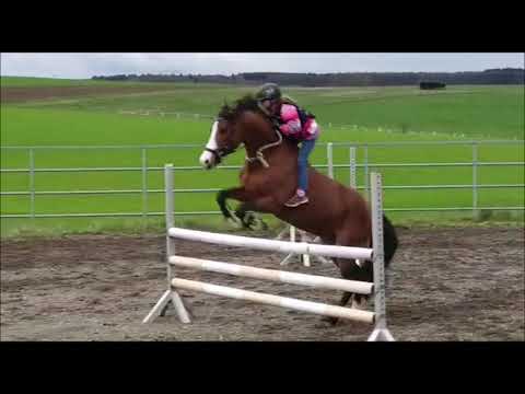 Malu (9) und Monte - ohne Sattel am 03.04.2019