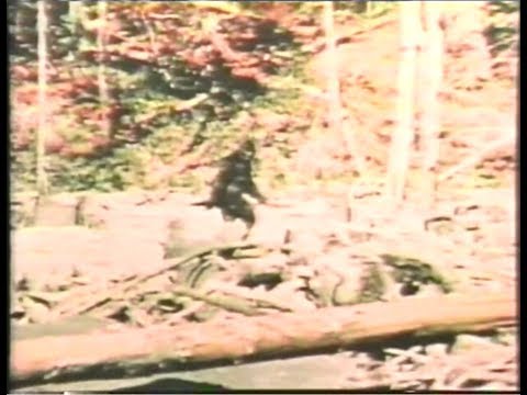 The Mysterious Monsters (1975)