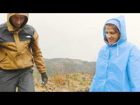 Plantare comunitară — Voluntari în acțiune