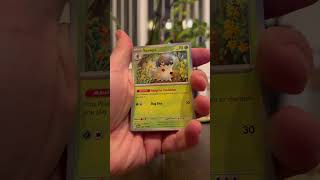 Scarlet and Violet Base Set Booster Pack Opening  #pokemon