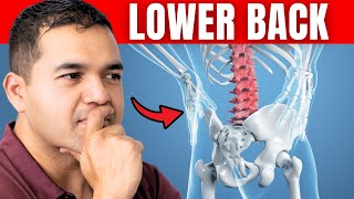 Top 5 Exercises to Heal Degenerative Disc Disease (Lower Back Relief)