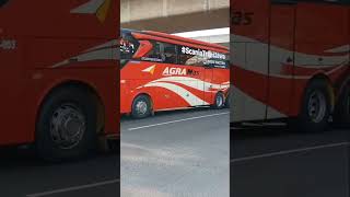 Download lagu #scaniatransjawa Bus Agra mas #bus #buses #busindonesia mp3