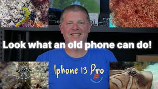 An old Iphone, a Divevolk Seatouch housing and UWACAM makes underwater video cheap and easy!