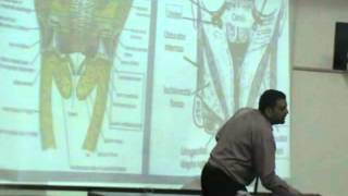 Dr.Ahmed El-Zeiny - Pelvis 9 - Uterus & Vagina - Part 3