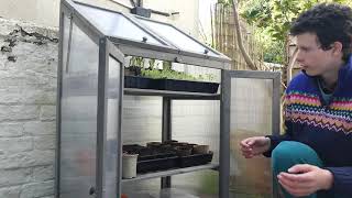 My Spring Garden Tour